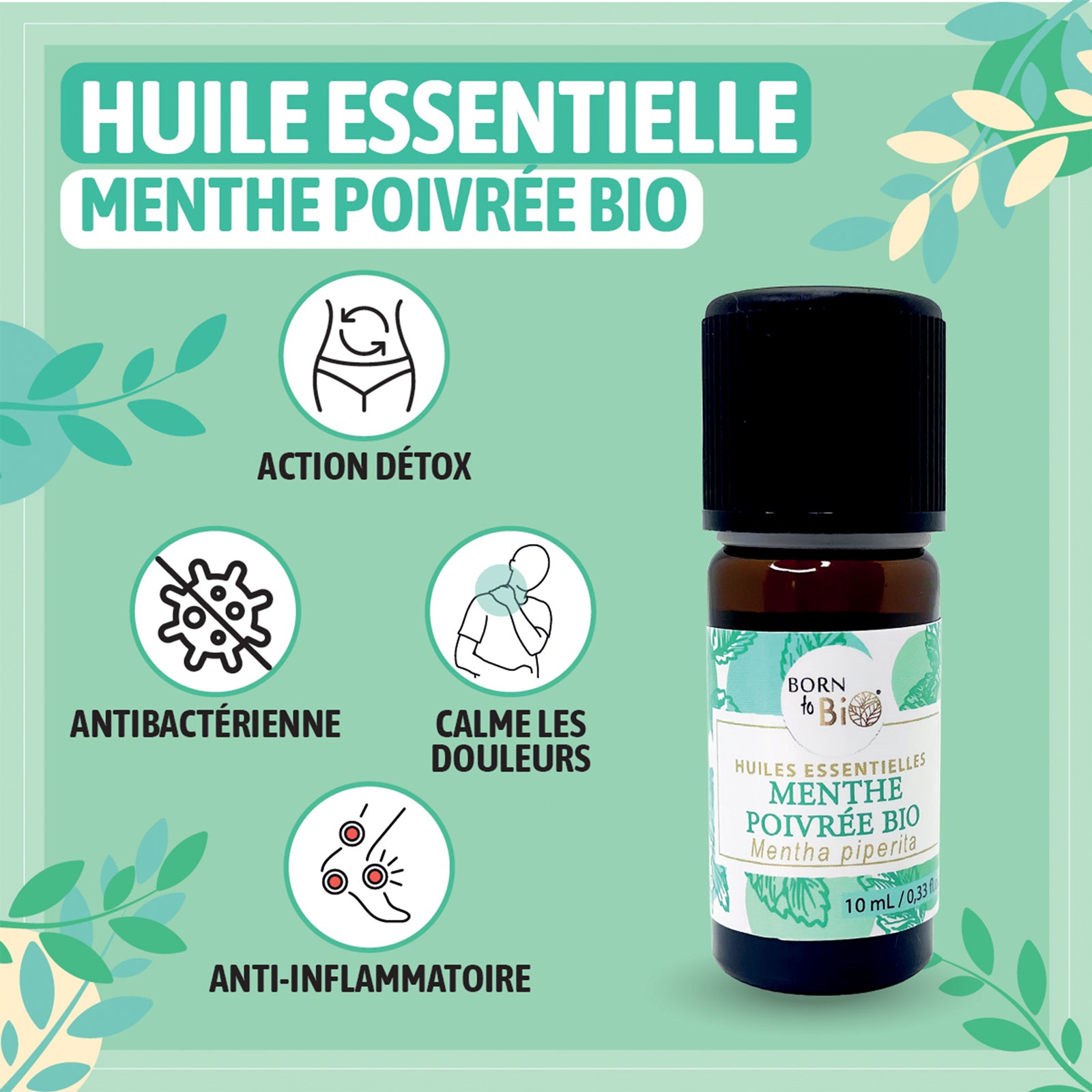 Huile essentielle Menthe poivrée Certifiée Bio-1