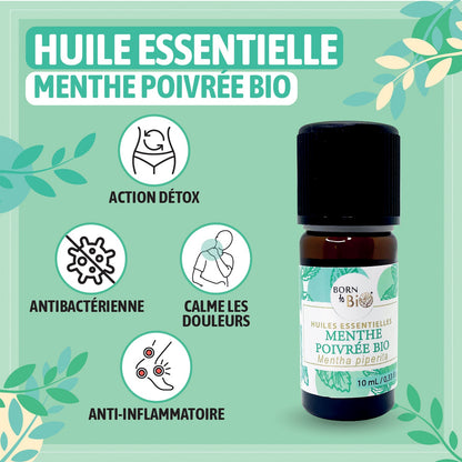 Huile essentielle Menthe poivrée Certifiée Bio-1